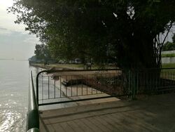 Sembawang Straits Estate (D27), Terrace #477577471